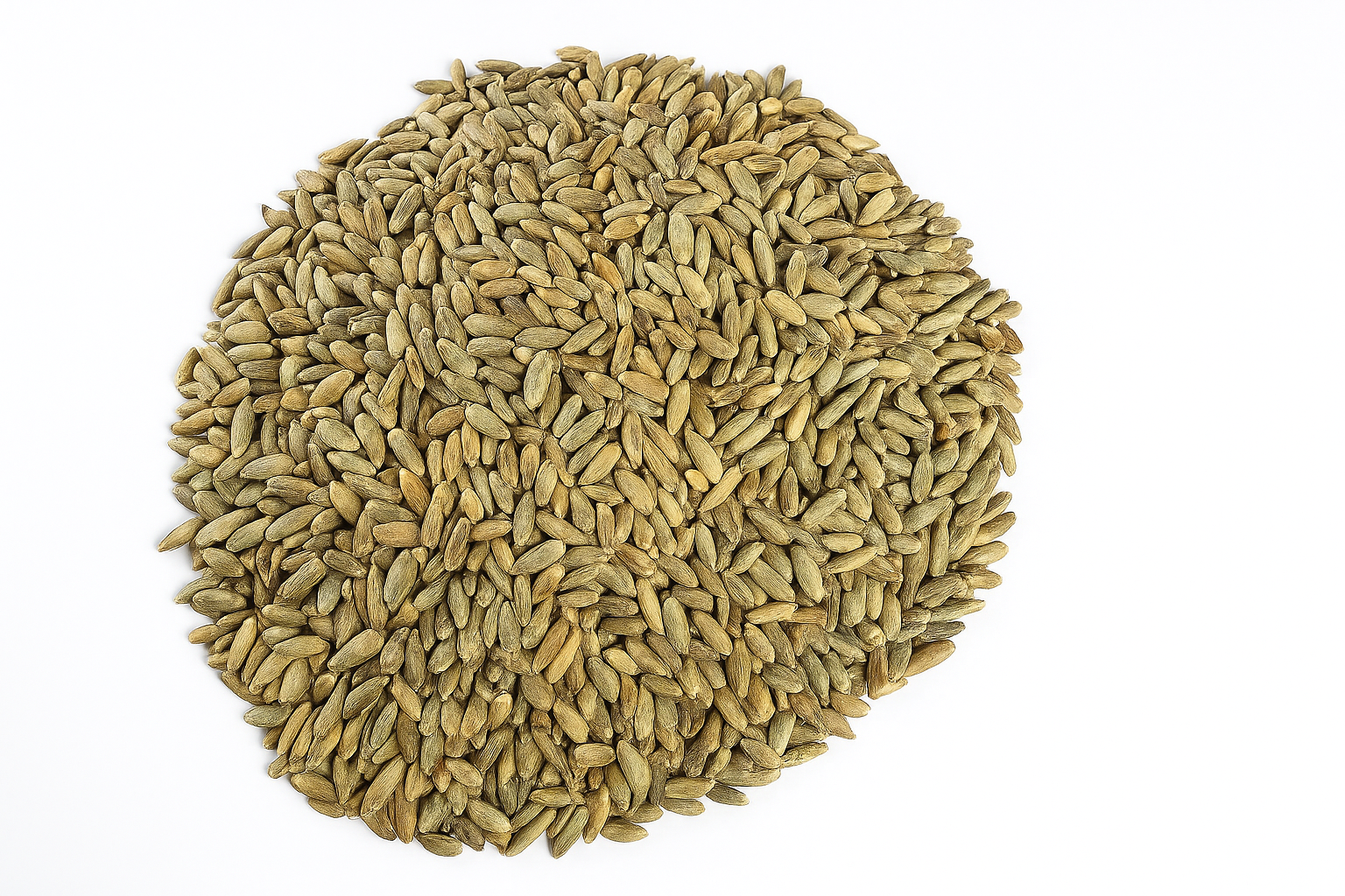 Rye (Whole Grain, Cracked)